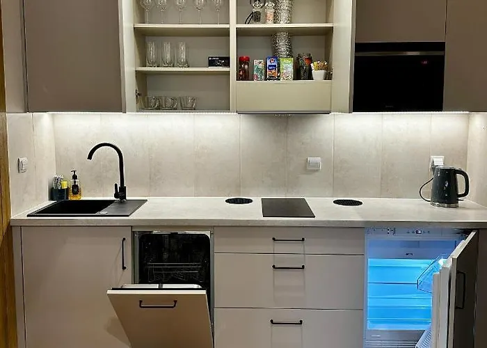 Like-a House Starowka Apartment Płock