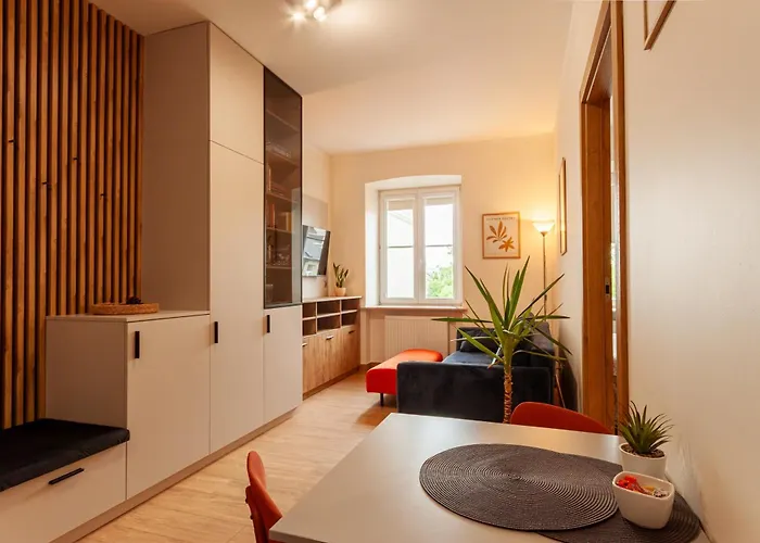 Like-a House Starowka Apartment Płock